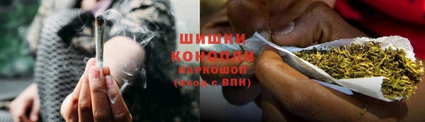 твердый Осинники