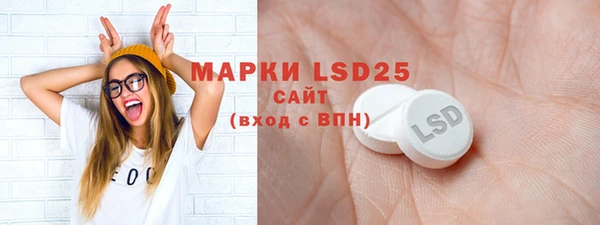 ГАЛЛЮЦИНОГЕННЫЕ ГРИБЫ Алексин